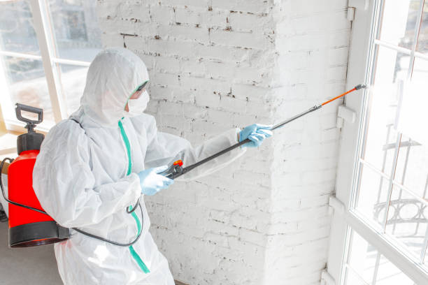  Dillsburg, PA Water damage restoration Pros